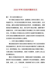 2025年審計發覺問題的論文
