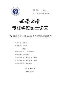 BL數據分析公司核心競爭力識別與培育研究