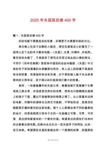 2025年失孤觀后感400字