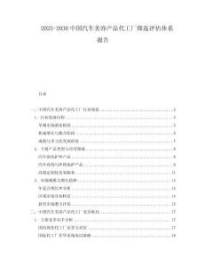 2025-2030中國汽車美容產品代工廠篩選評估體系報告