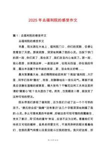 2025年去福利院的感受作文