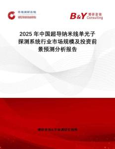 2025年中國超導納米線單光子探測系統行業市場規模及投資前景預測分析報告