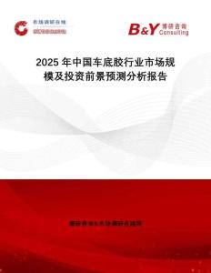 2025年中國車底膠行業(yè)市場規(guī)模及投資前景預(yù)測分析報告