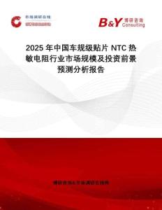 2025年中國車規(guī)級貼片NTC熱敏電阻行業(yè)市場規(guī)模及投資前景預測分析報告