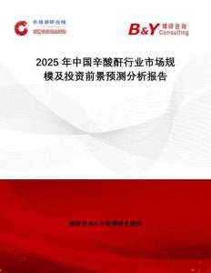 2025年中國辛酸酐行業市場規模及投資前景預測分析報告
