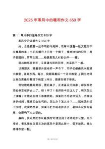 2025年寒風中的暖和作文650字