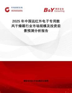 2025年中國遠紅外電子專用鼓風干燥箱行業(yè)市場規(guī)模及投資前景預測分析報告