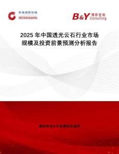 2025年中國透光云石行業市場規模及投資前景預測分析報告
