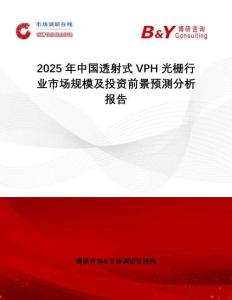2025年中國透射式VPH光柵行業市場規模及投資前景預測分析報告