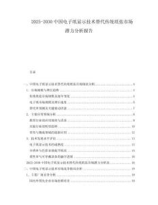 2025-2030中國電子紙顯示技術替代傳統紙張市場潛力分析報告