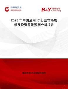 2025年中國通用IC行業(yè)市場規(guī)模及投資前景預(yù)測分析報告