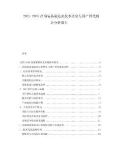 2025-2030高端裝備制造業技術壁壘與國產替代機會分析報告