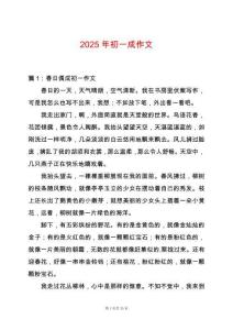 2025年初一成作文