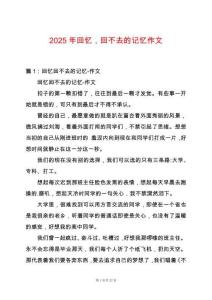 2025年回憶，回不去的記憶作文
