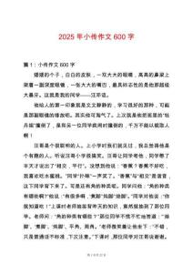 2025年小傳作文600字