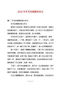 2025年冬天的麻醉劑作文