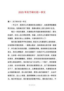 2025年關于碎片初一作文