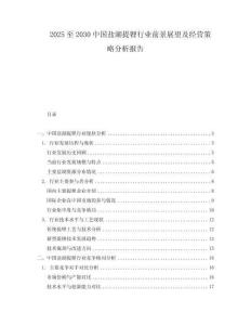 2025至2030中國(guó)鹽湖提鋰行業(yè)前景展望及經(jīng)營(yíng)策略分析報(bào)告