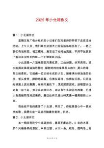 2025年小北湖作文