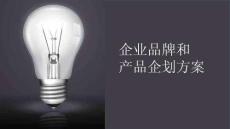 企業品牌和產品策略企劃（54頁PPT）