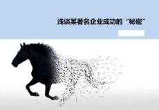 淺談某著名企業成功的秘密（61頁PPT）