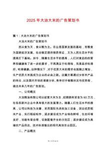 2025年大治大米的廣告策劃書