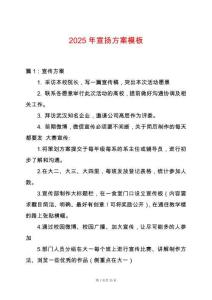 2025年宣揚方案模板