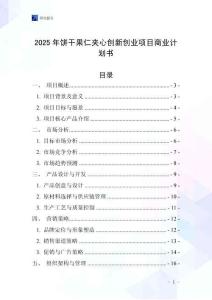 2025年餅干果仁夾心創新創業項目商業計劃書