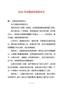 2025年初雪后的深思作文