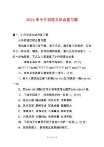 2025年小升初語文綜合復(fù)習(xí)題