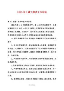2025年土建工程師工作安排
