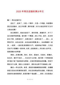 2025年再見迎接的滿分作文