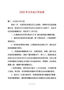 2025年衛生站工作安排