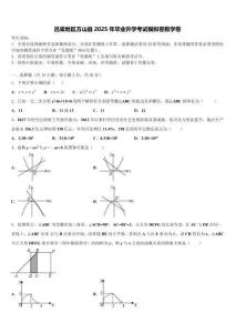 呂梁地區(qū)方山縣2025年畢業(yè)升學(xué)考試模擬卷數(shù)學(xué)卷含解析