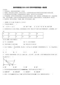 泉州市惠安縣2024-2025學(xué)年中考數(shù)學(xué)最后一模試卷含解析