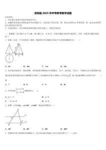 改則縣2025年中考聯(lián)考數(shù)學(xué)試題含解析