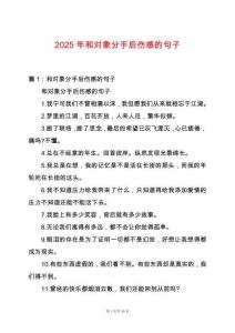 2025年和對象分手后傷感的句子