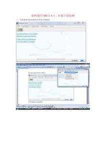 怎樣使用MEGA建立進(jìn)化樹