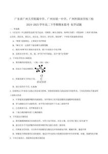 廣東省廣州市三校（廣大附中、鐵一中學、廣州外國語）2024-2025學年高二下學期期末聯(lián)考化學試卷（含答案）