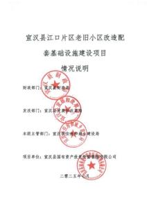 宣漢縣江口片區老舊小區改造配套基礎設施建設項目 項目情況說明PDF版