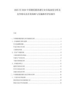 2025至2030中國鍍鋁膜清漆行業市場深度分析及競爭格局及有效策略與實施路徑評估報告