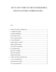 2025至2030中國(guó)磁卡讀寫器行業(yè)市場(chǎng)深度調(diào)研及價(jià)值評(píng)估及有效策略與實(shí)施路徑評(píng)估報(bào)告