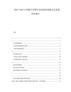 2025-2030中國數字營銷行業流量變現模式及效果評估報告