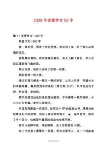 2025年夜雪作文00字
