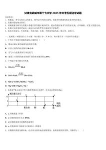 甘肅省武威市第十七中學2025年中考五模化學試題含解析