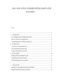 2025-2030中國動力電池梯次利用技術標準與經濟性評估報告