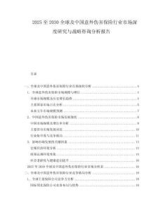 2025至2030全球及中國(guó)意外傷害保險(xiǎn)行業(yè)市場(chǎng)深度研究與戰(zhàn)略咨詢分析報(bào)告