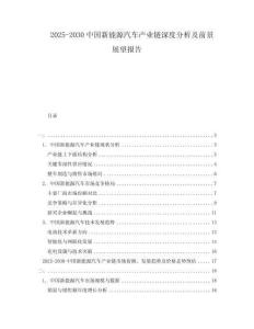 2025-2030中國新能源汽車產(chǎn)業(yè)鏈深度分析及前景展望報告
