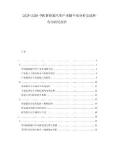 2025-2030中國新能源汽車產業鏈全景分析及戰略布局研究報告