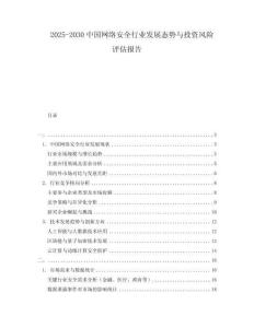 2025-2030中國網絡安全行業發展態勢與投資風險評估報告